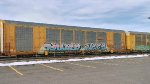 BNSF 34317 (Body) CTTX 690467 (Flat)